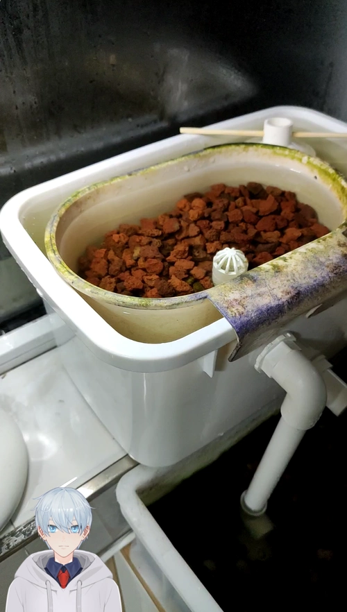 活动作品自制一个带沉淀仓的迷你沼泽过滤器