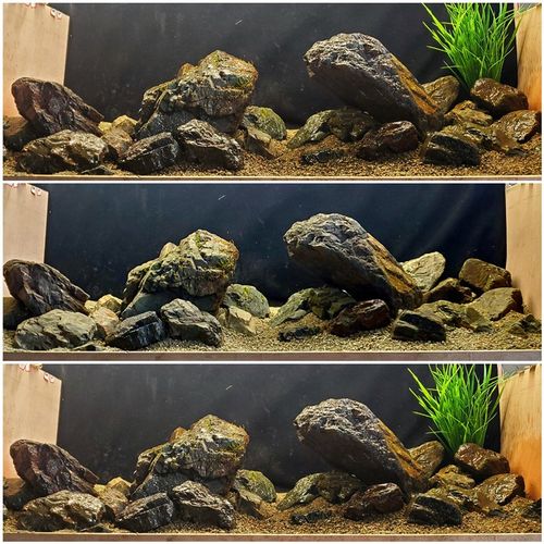 溪流原生缸造景 溪流石天然鹅卵石鱼缸造景组合石头套餐三湖慈鲷