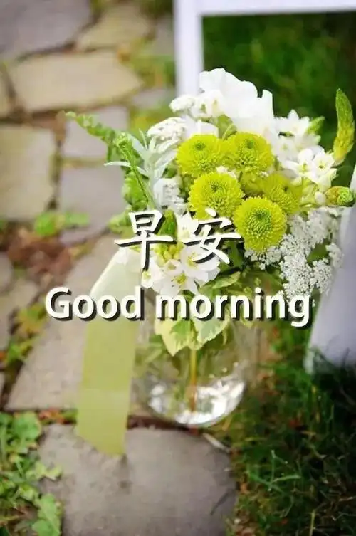 2020鼠年4月17日最新最有创意的早安表情图片励志正能量心语句子