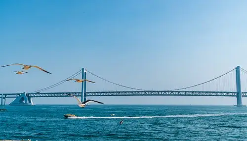 大连星海湾跨海大桥