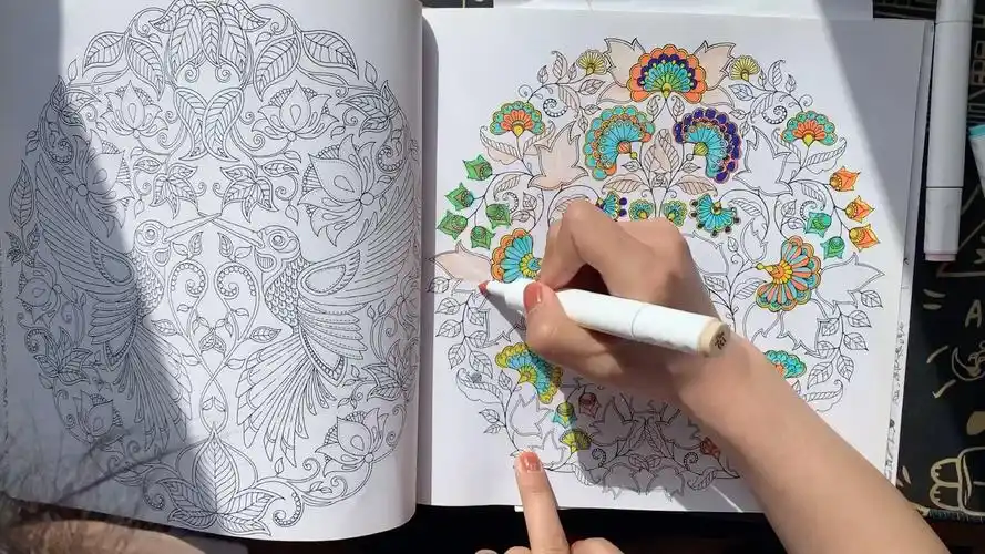 秘密花园填色新鲜的配色爱了