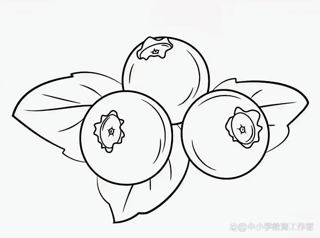 超简单,分享常见的水果线稿,喜欢画画的快来一起画吧