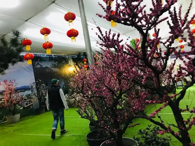 3月16日响水湖植树,赏梅,穿越一日游