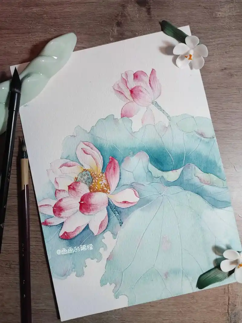 古风水彩荷花‖内附详细步骤和线稿.