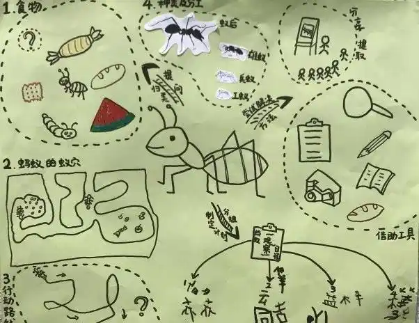 生活记录课程的瞬间|你将走进蚂蚁王国