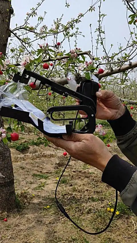 国家发明专利,新款苹果梨膜袋自动套袋机