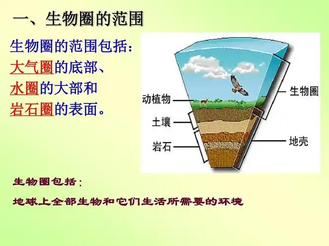 新人教版生物七年级上册生物圈是最大的生态系统ppt课件_word文档在线