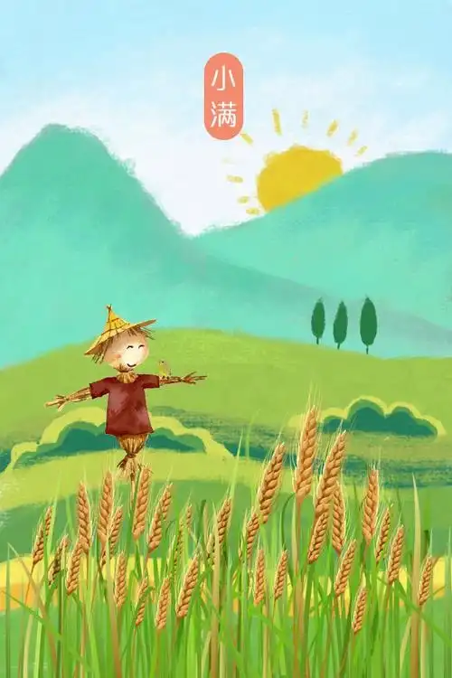 手绘风小满节气稻田插画海报设计