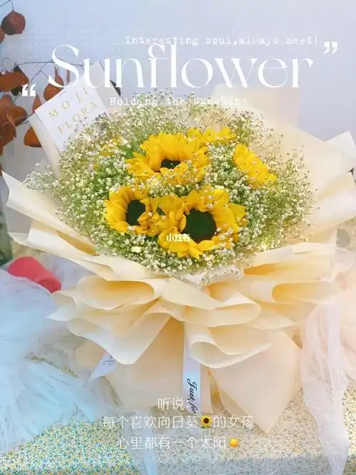 向日葵77满天星