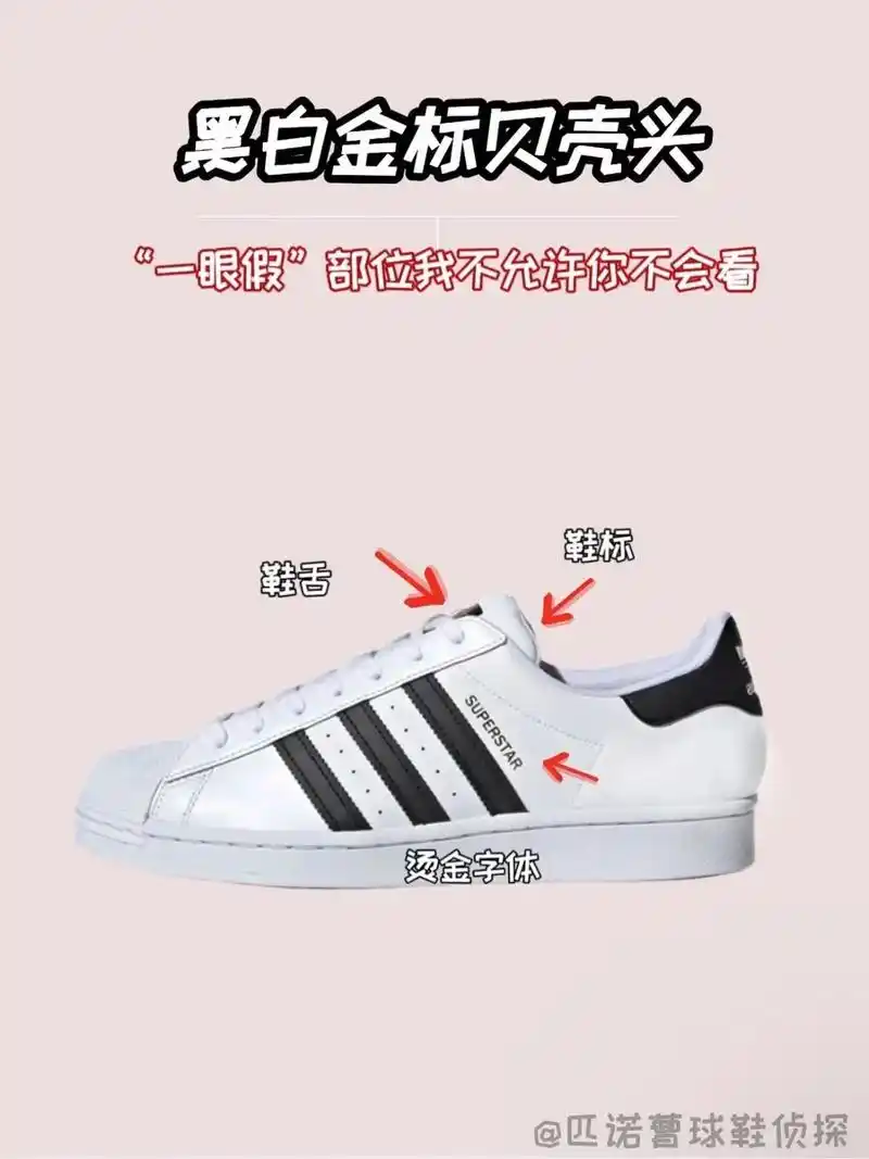 阿迪销量王|金标贝壳头真假对比