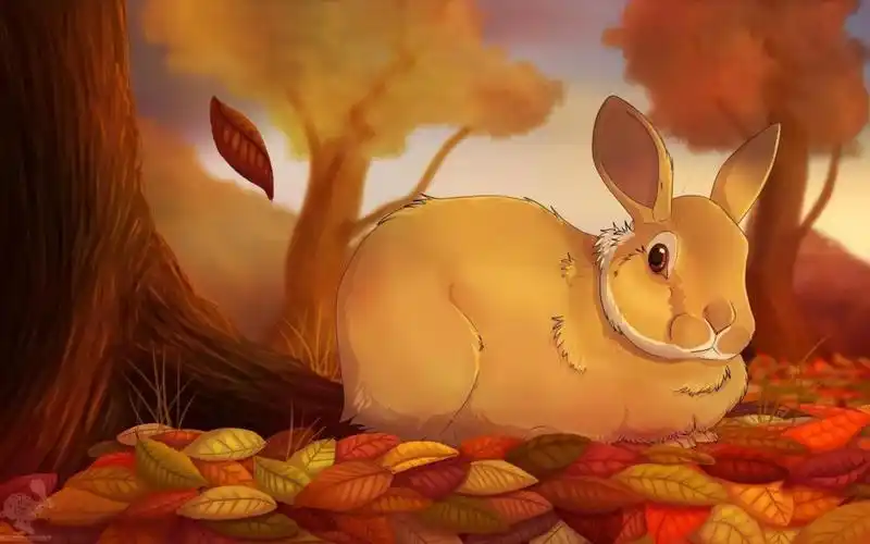 兔子秋天大自然叶子艺术壁纸,高清图片,壁纸,自然风景-桌面城市