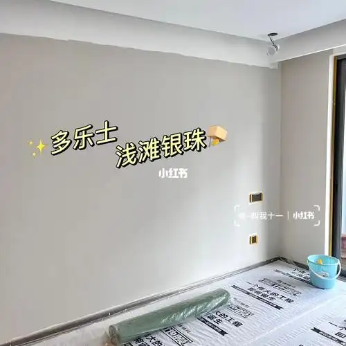 颜色,最后还是选择了不容易出错的(#乳胶漆 选的多乐士森呼吸淳零硅藻