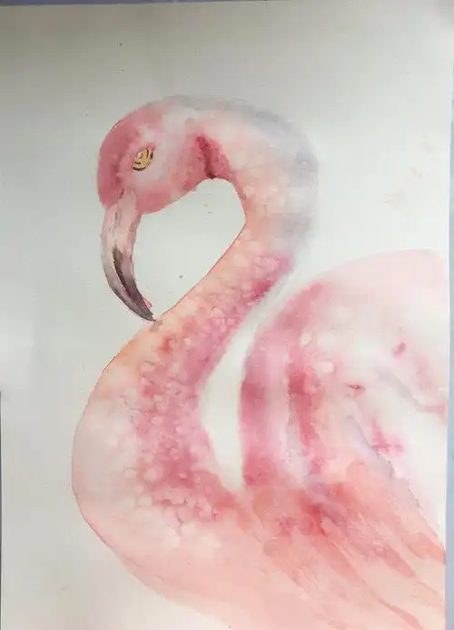 水彩画|火烈鸟(带详细步骤) - 简书