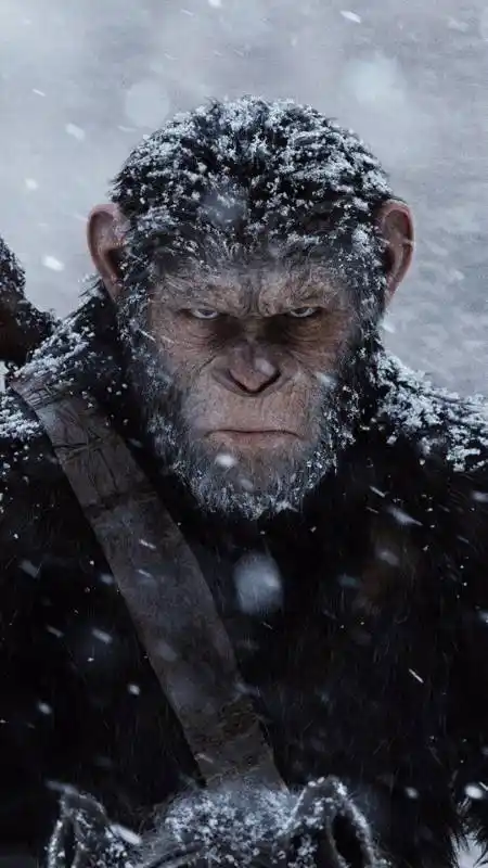 猩球崛起#第2集 | 当猩猩拥有人类的智商,你才知道是多么可怕