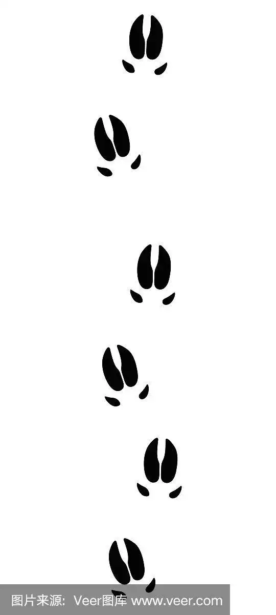 野猪或猪的足迹-孤立的黑色图标矢量插图上的白色背景.