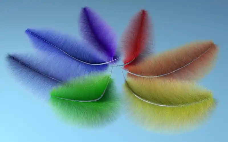 壁纸,艺术设计,羽毛