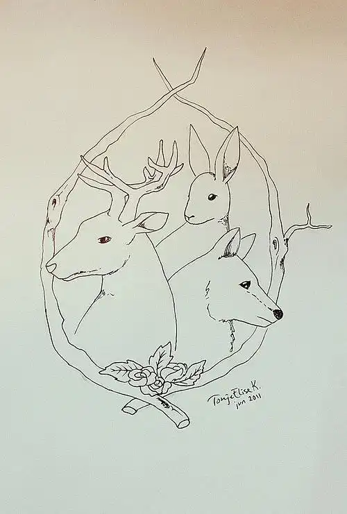 麋鹿图片手绘简笔画 (第9页)