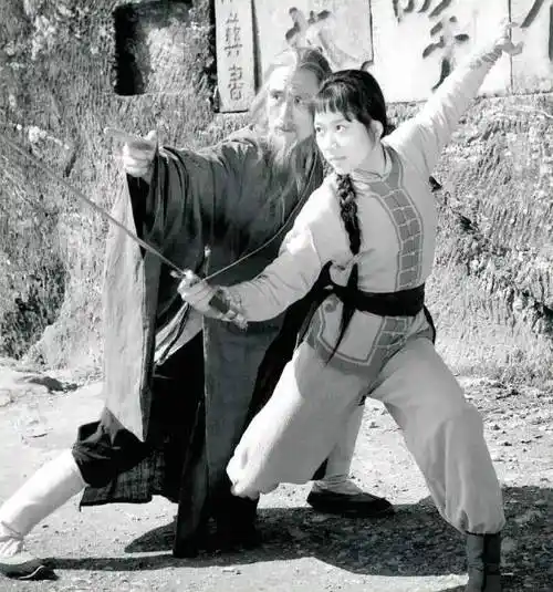 影片由《少林寺》女主角丁岚主演,"南拳王"邱建国和武打明星王群参演