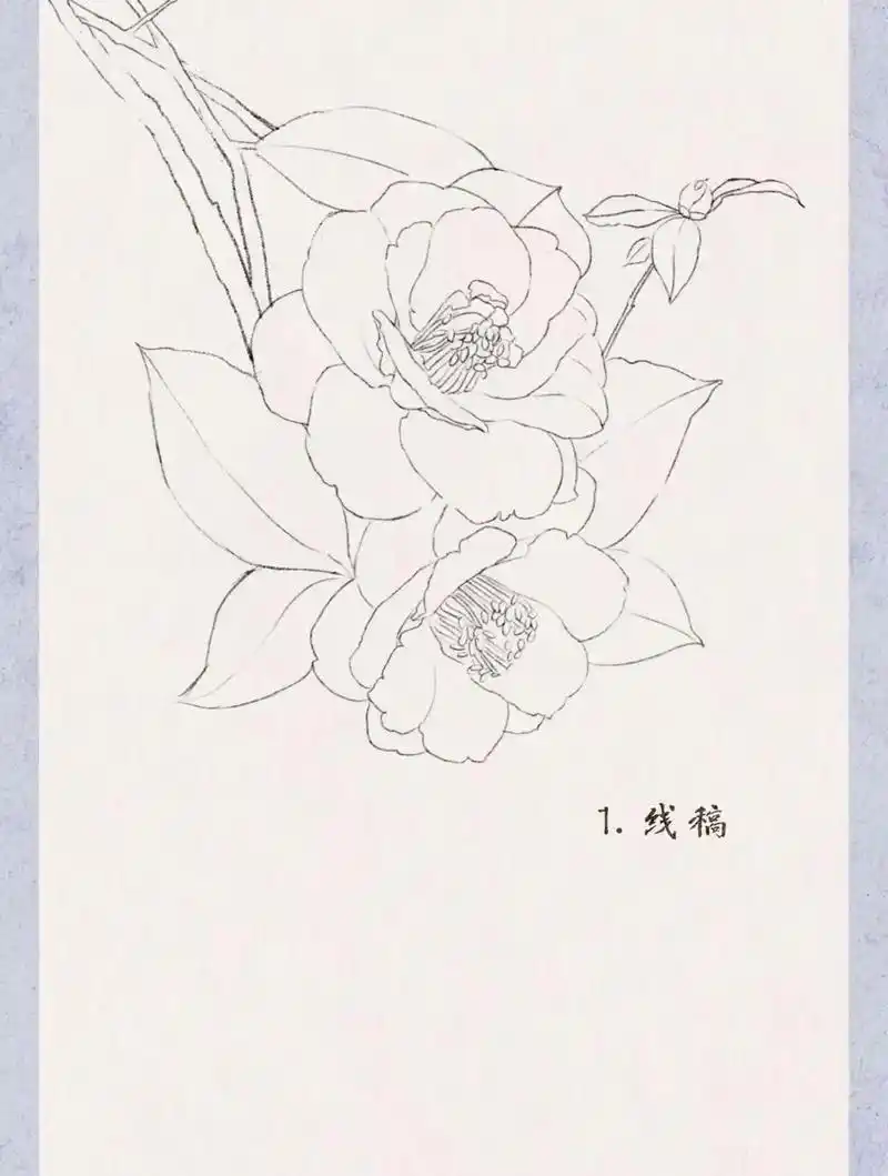 水彩花卉 ——山茶花绘画步骤#少儿美术教育 #零基础学画画  - 抖音