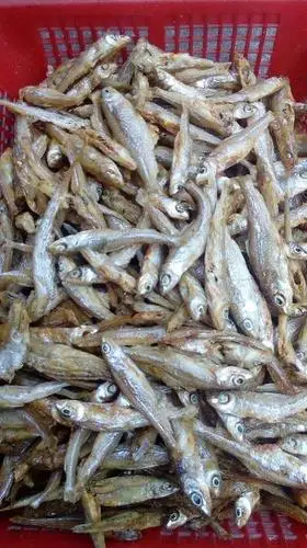 飞来峡北江河鱼干:林刀鱼,鲮鱼,虾米