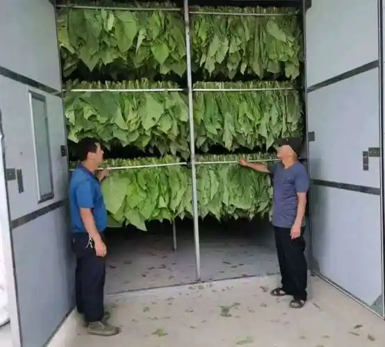 紫阳县汉王镇:"黄金叶"托起"黄金业" 烤烟产业赋能乡村振兴