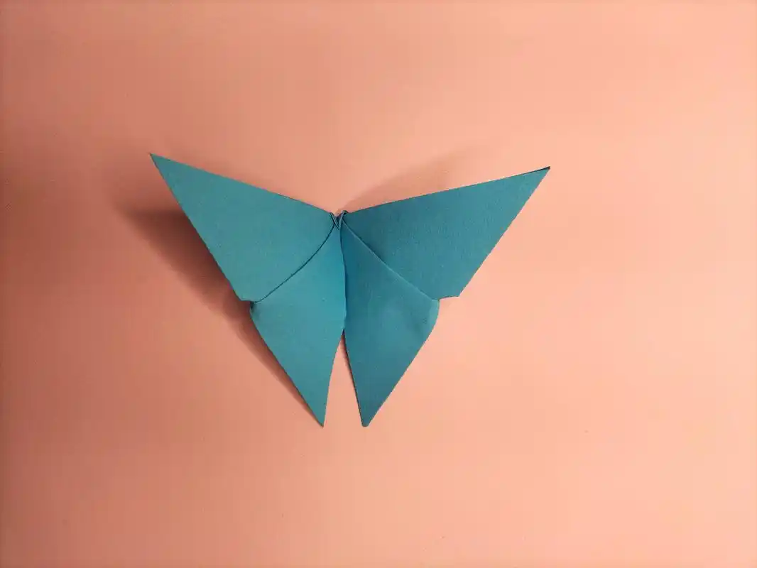 荷氏蝴蝶折纸步骤