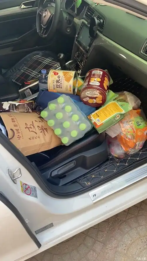 一车的零食,也够吃了