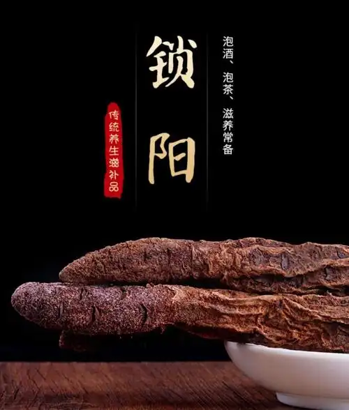 金锁阳内蒙古阿拉善切片锁阳配肉苁蓉滋补泡酒料切片锁阳250克
