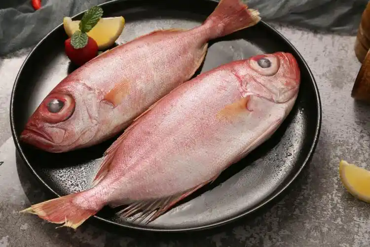 海鲜大海莲大眼鲷大眼鱼红目海鱼 大眼鲷鱼/1斤/3条 1斤装【图片 价格