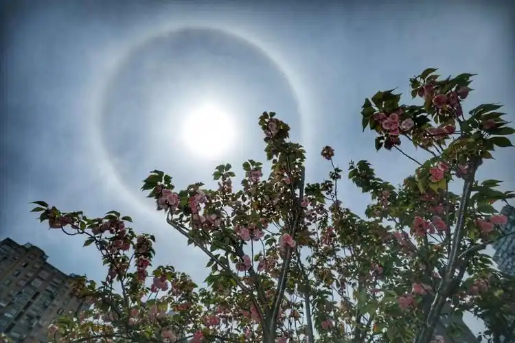 中午"戴美瞳"的太阳你get了吗?