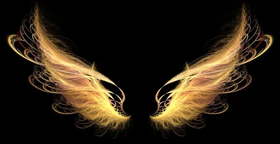 黑色背景下火的魔鬼或天使的翅膀