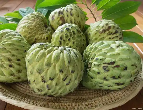 释迦果不仅具有美味可口的风味,还蕴含着众多的营养物质和健康功效.