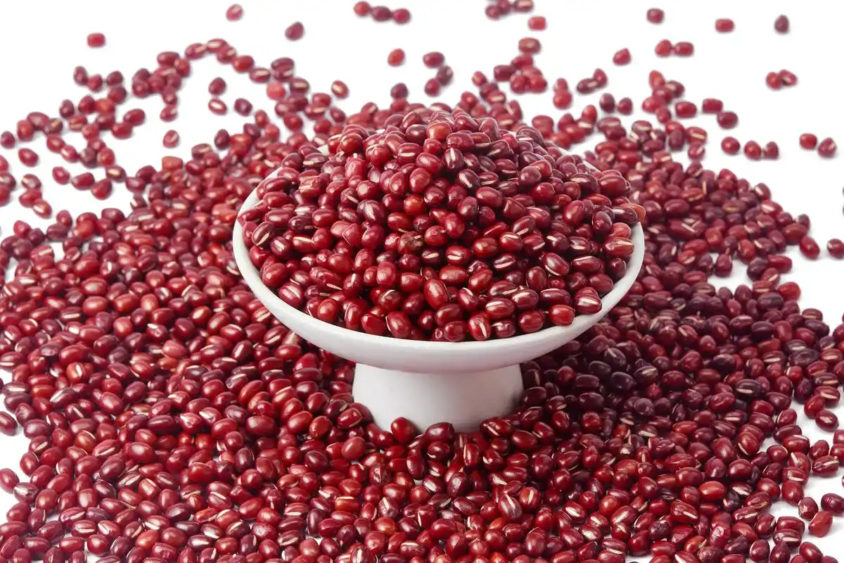 白底白碗瓷碗红豆一碗红豆散落红豆