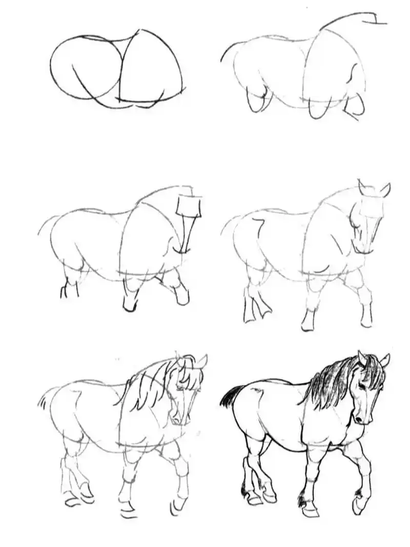 一步一步简笔画|98画马98 969696989898989898