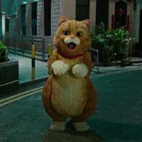 喵星犀犀利微信头像_微信头像图片大全