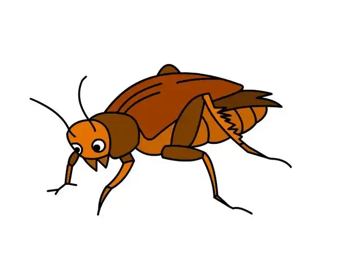 蟋蟀怎么画 蟋蟀怎么画简单又漂亮 蟋蟀简笔画-养娃家