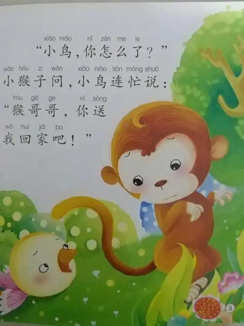 读书伴我成长——小鸟回家了