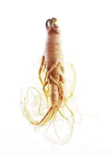 无人,竖图,俯视,室内,特写,白天,白色背景,参,桌面,桌子,人参,参