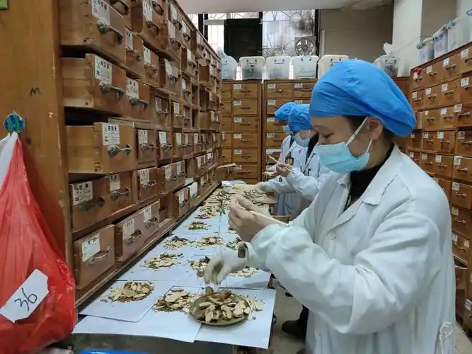 收藏!韶关市中医院推出新冠防治中药方|中药_新浪财经_新浪网