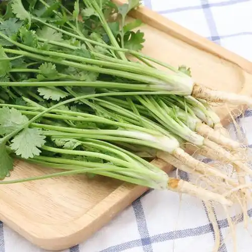 本地叶须(香菜)
