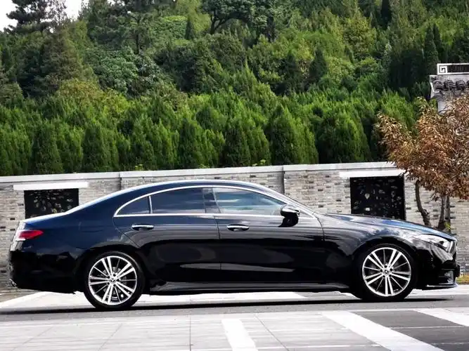 奔驰 奔驰cls级  2018款 cls 300 豪华型图片