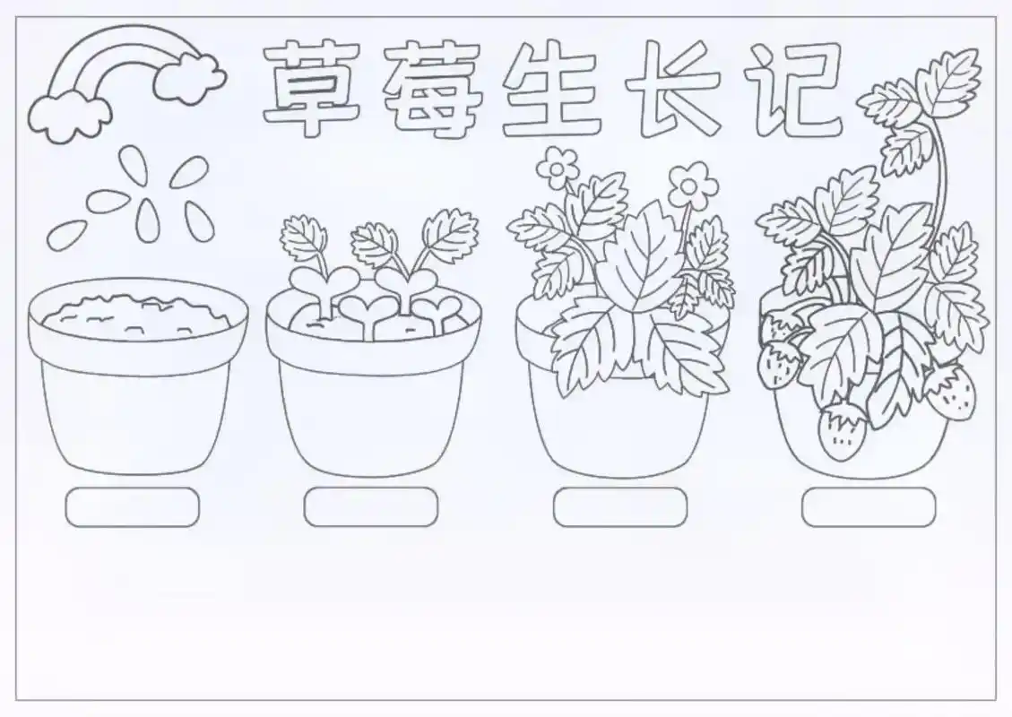 草莓自然笔记植物生长过程绘画 - 抖音