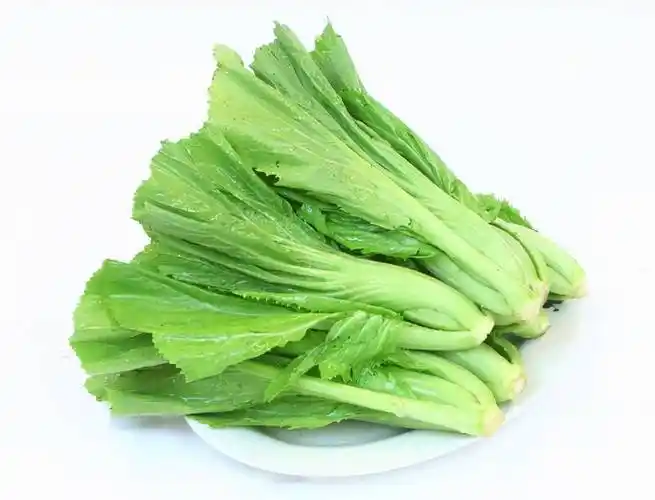 芥菜的功效与做法大全:芥菜的功效与做法大全