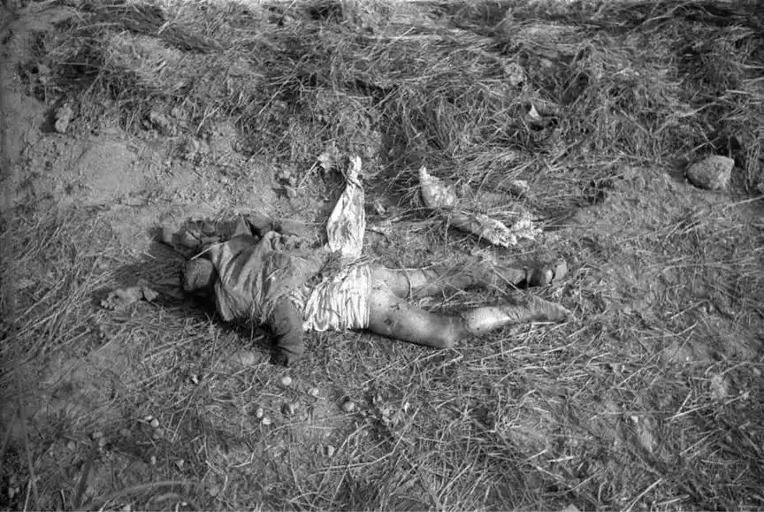 1942年,河南大饥荒,饿死了几百万人,狗吃人,人吃人,吃树 - 抖音