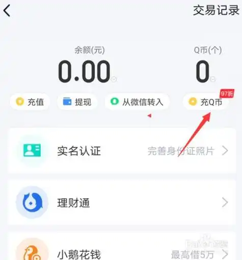 第六步:返回手机qq钱包,点击q币下方的"充q币",进入q币充值界面