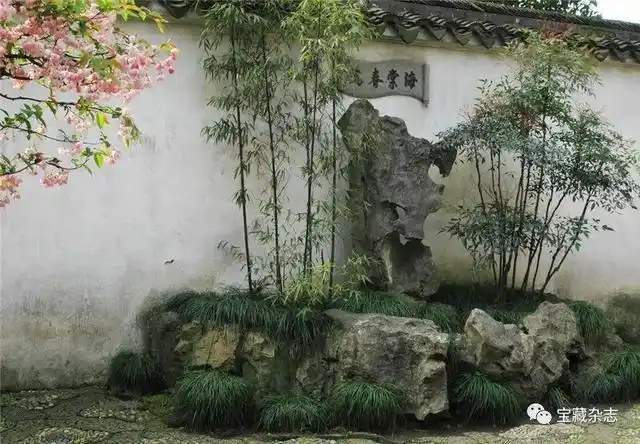 苏州拙政园之中春赏海棠的去处,非"枇杷园"里的"海棠春坞"小院莫属了.