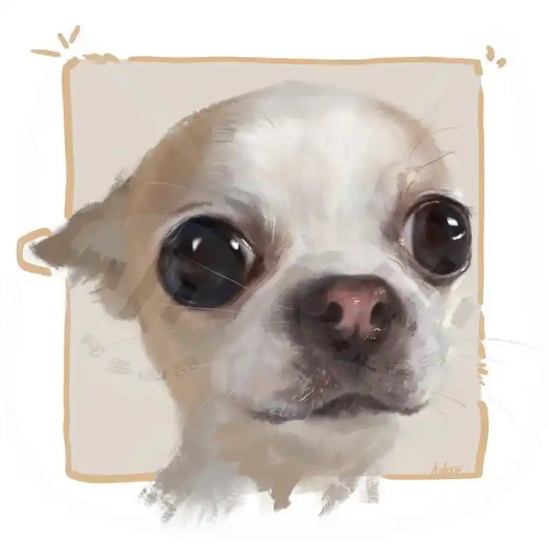 最近一段时间画的小宠物 #绘画 #萌宠 #狗狗 #约稿 #画 - 抖音