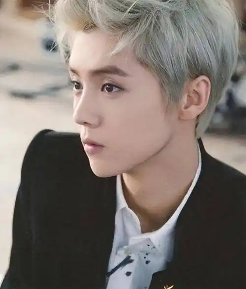 鹿晗家世背景强大吗,身份现在无人知道,王思聪都不敢轻易说话_生活