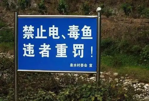 继禁渔令后农村这3种捕鱼行为同样被禁农民最好别违反