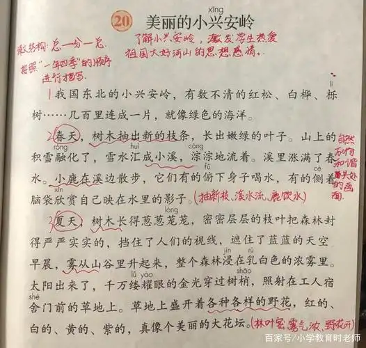 三年级第20课《美丽的小兴安岭》——我可爱的家乡